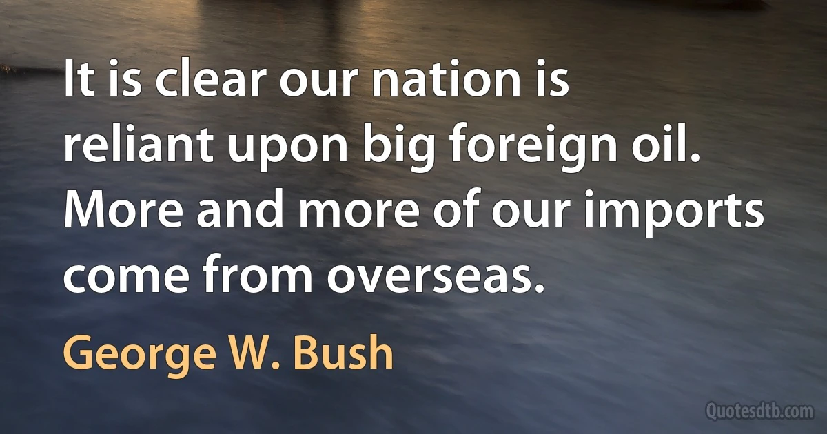 It is clear our nation is reliant upon big foreign oil. More and more of our imports come from overseas. (George W. Bush)