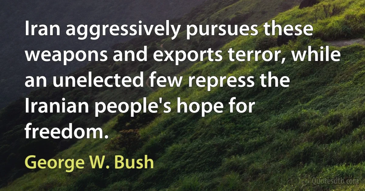 Iran aggressively pursues these weapons and exports terror, while an unelected few repress the Iranian people's hope for freedom. (George W. Bush)