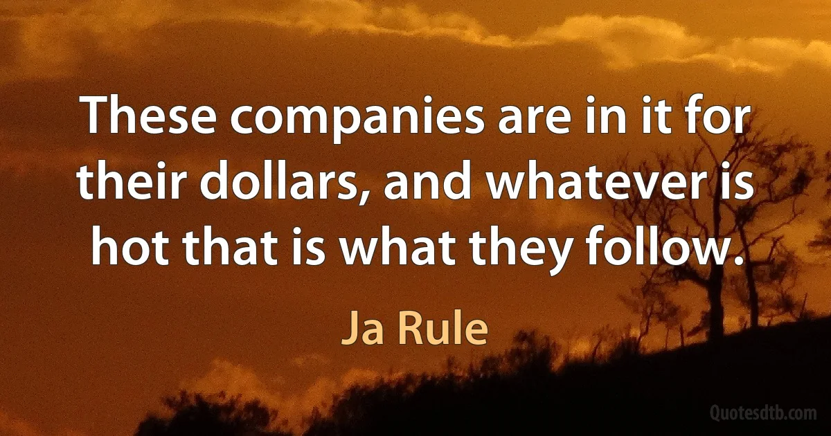 These companies are in it for their dollars, and whatever is hot that is what they follow. (Ja Rule)