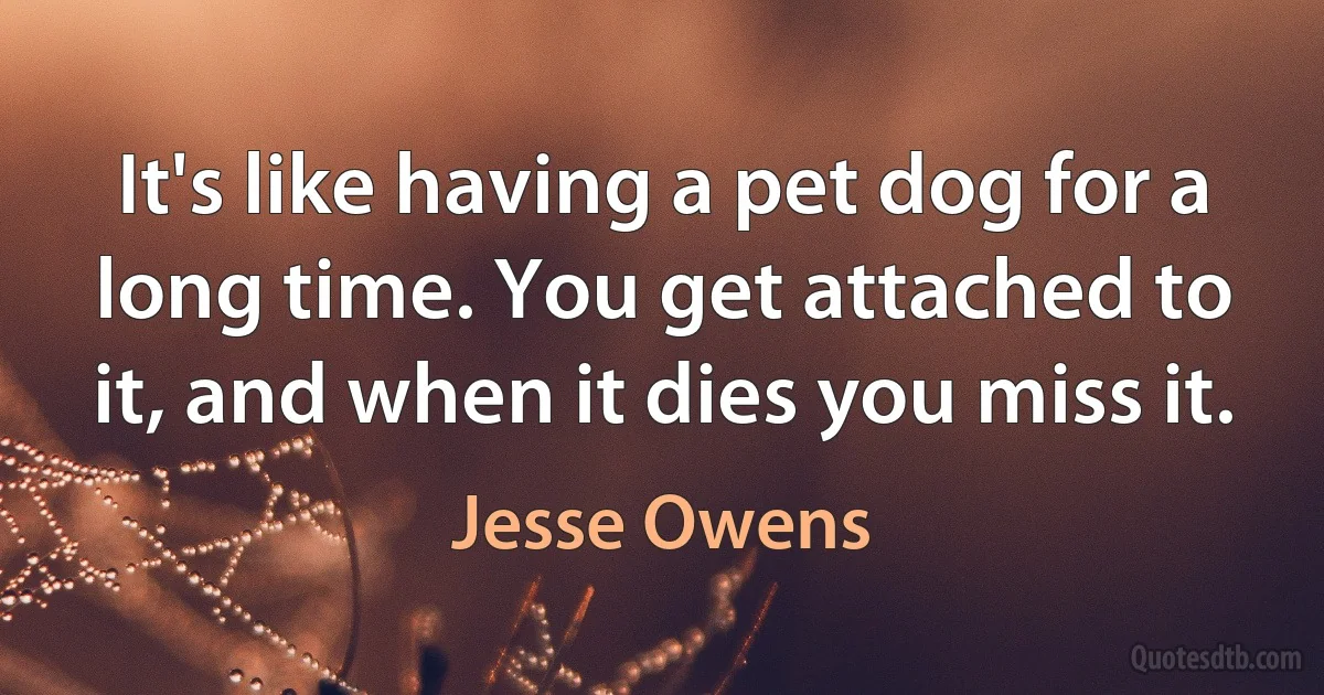 It's like having a pet dog for a long time. You get attached to it, and when it dies you miss it. (Jesse Owens)