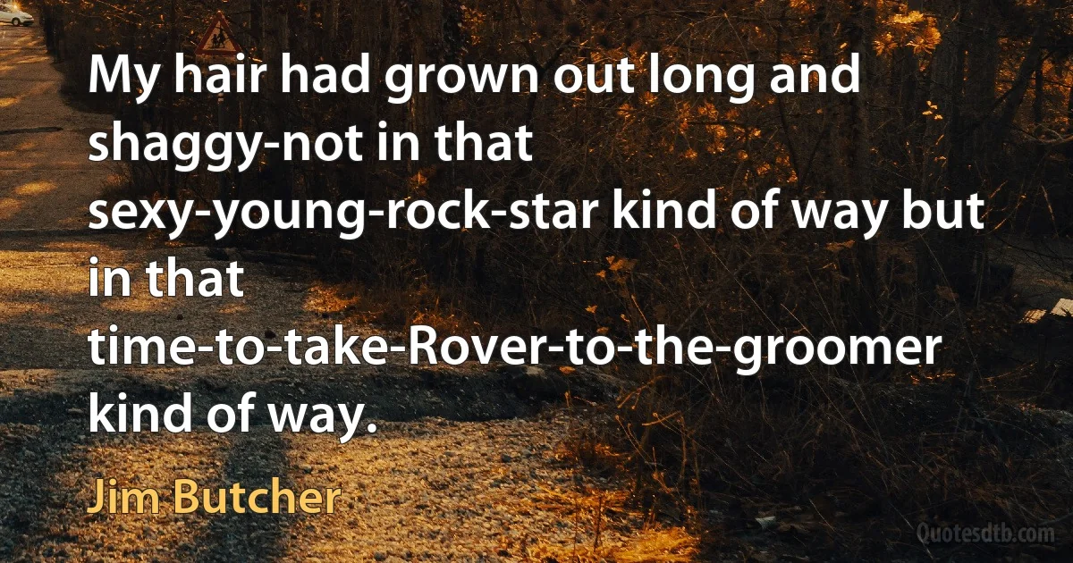 My hair had grown out long and shaggy-not in that sexy-young-rock-star kind of way but in that time-to-take-Rover-to-the-groomer kind of way. (Jim Butcher)