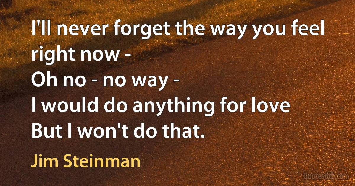 I'll never forget the way you feel right now -
Oh no - no way -
I would do anything for love
But I won't do that. (Jim Steinman)