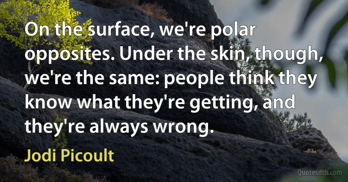 On the surface, we're polar opposites. Under the skin, though, we're the same: people think they know what they're getting, and they're always wrong. (Jodi Picoult)