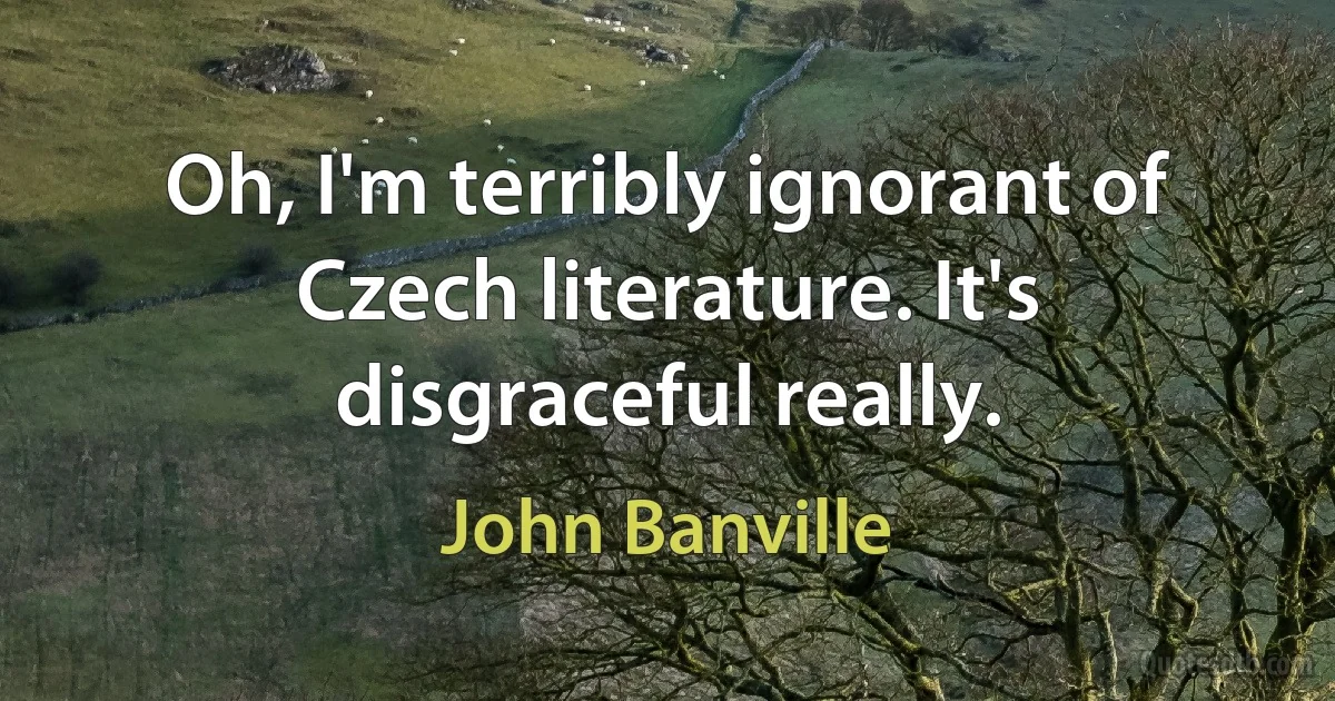 Oh, I'm terribly ignorant of Czech literature. It's disgraceful really. (John Banville)