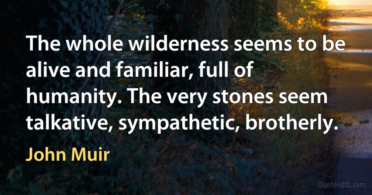 The whole wilderness seems to be alive and familiar, full of humanity. The very stones seem talkative, sympathetic, brotherly. (John Muir)