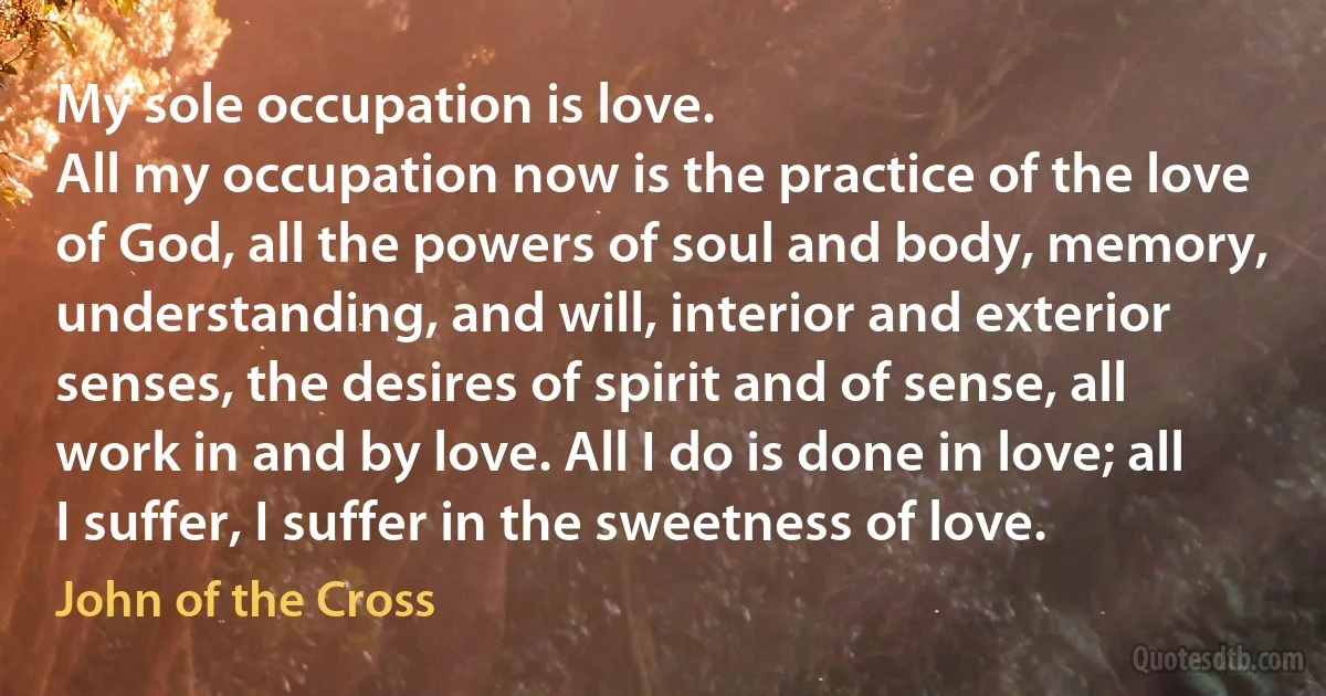 My sole occupation is love.
All my occupation now is the practice of the love of God, all the powers of soul and body, memory, understanding, and will, interior and exterior senses, the desires of spirit and of sense, all work in and by love. All I do is done in love; all I suffer, I suffer in the sweetness of love. (John of the Cross)