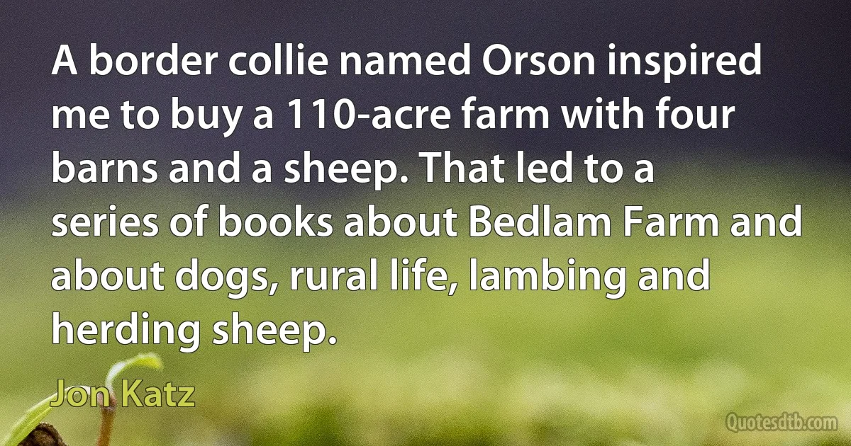 A border collie named Orson inspired me to buy a 110-acre farm with four barns and a sheep. That led to a series of books about Bedlam Farm and about dogs, rural life, lambing and herding sheep. (Jon Katz)