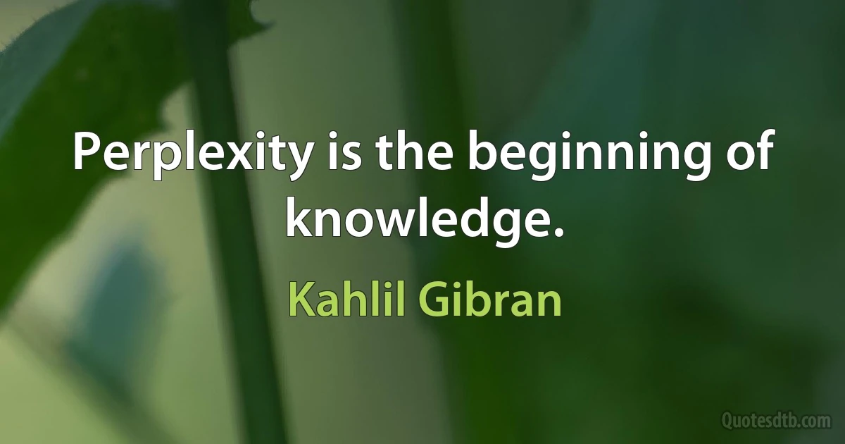 Perplexity is the beginning of knowledge. (Kahlil Gibran)