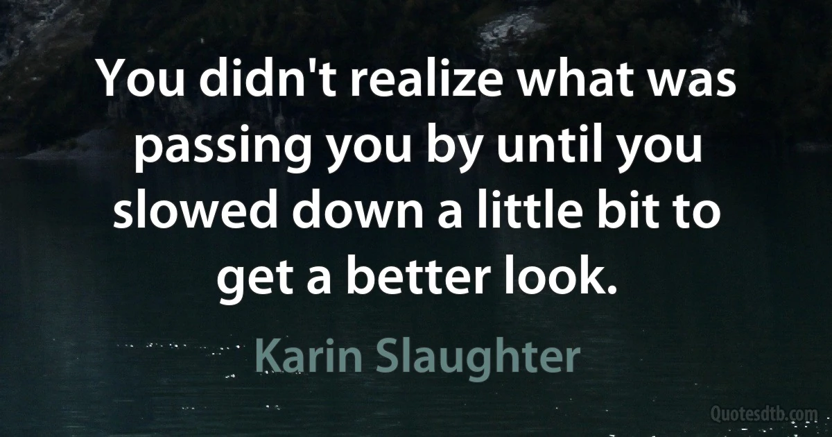 You didn't realize what was passing you by until you slowed down a little bit to get a better look. (Karin Slaughter)