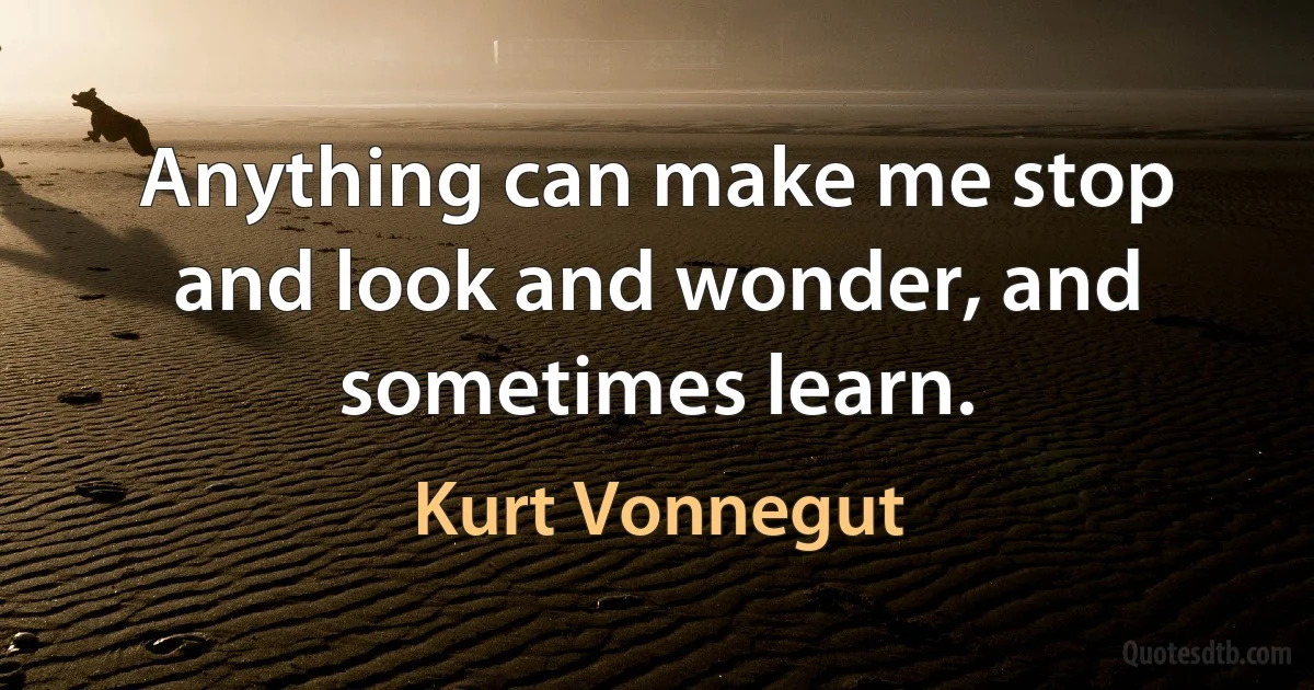 Anything can make me stop and look and wonder, and sometimes learn. (Kurt Vonnegut)