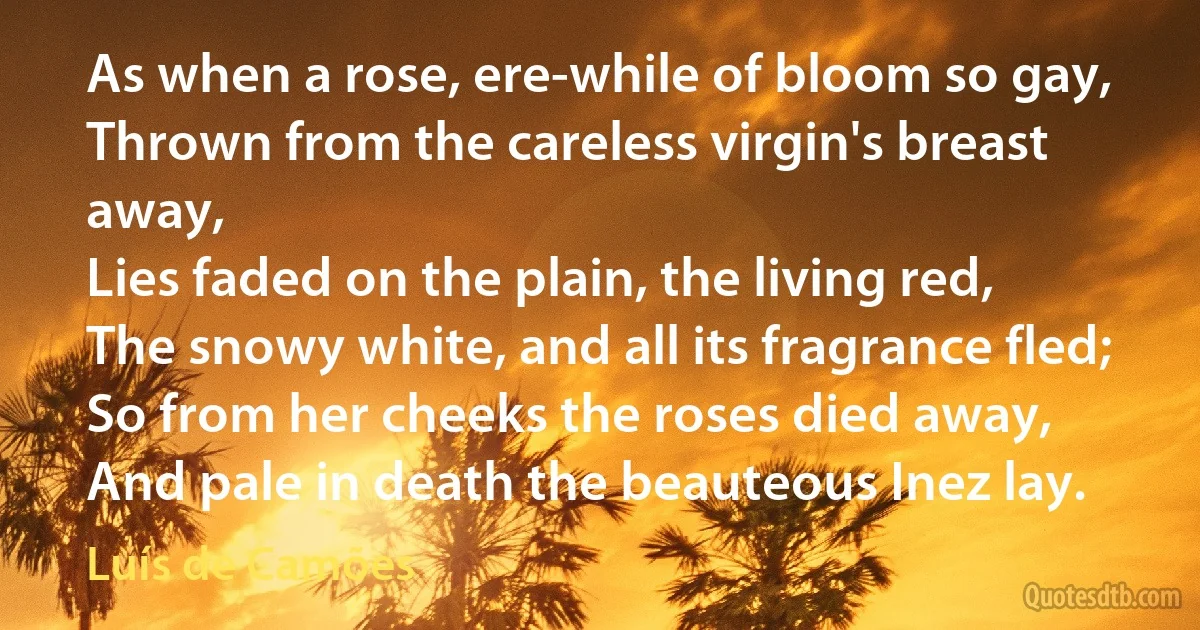 As when a rose, ere-while of bloom so gay,
Thrown from the careless virgin's breast away,
Lies faded on the plain, the living red,
The snowy white, and all its fragrance fled;
So from her cheeks the roses died away,
And pale in death the beauteous Inez lay. (Luís de Camões)