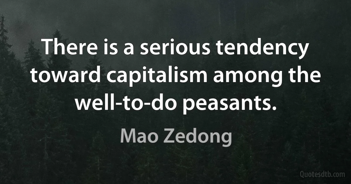 There is a serious tendency toward capitalism among the well-to-do peasants. (Mao Zedong)