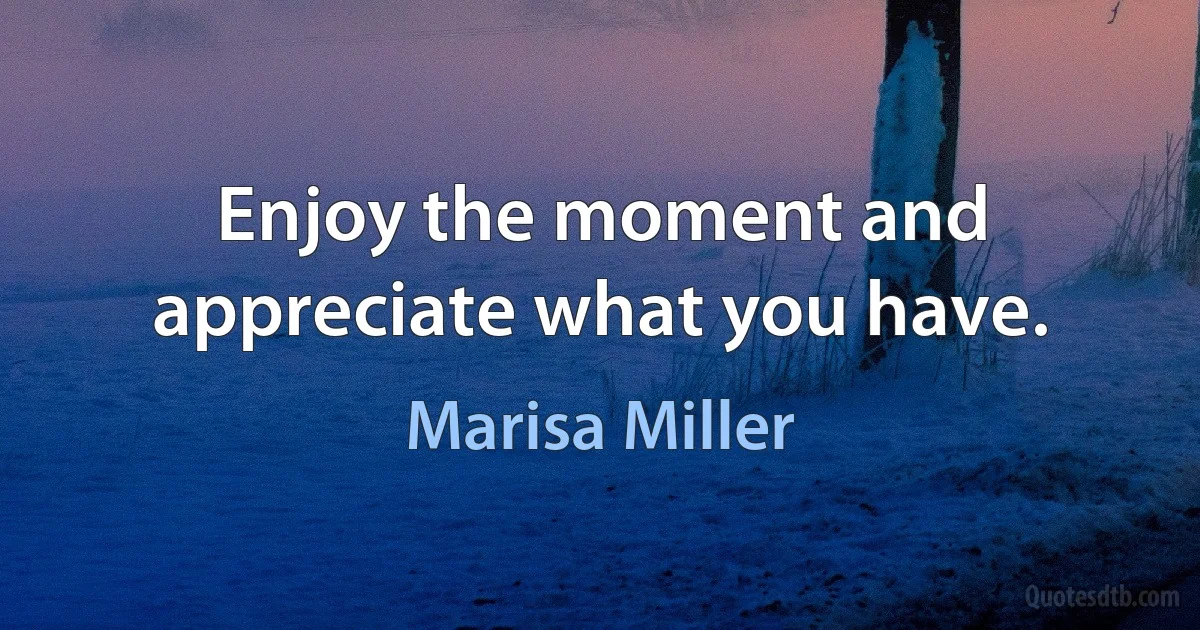 Enjoy the moment and appreciate what you have. (Marisa Miller)