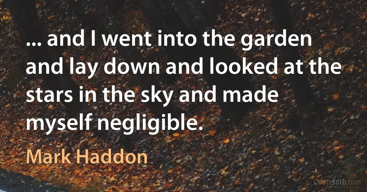 ... and I went into the garden and lay down and looked at the stars in the sky and made myself negligible. (Mark Haddon)