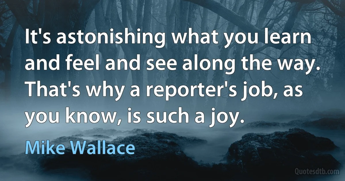 It's astonishing what you learn and feel and see along the way. That's why a reporter's job, as you know, is such a joy. (Mike Wallace)