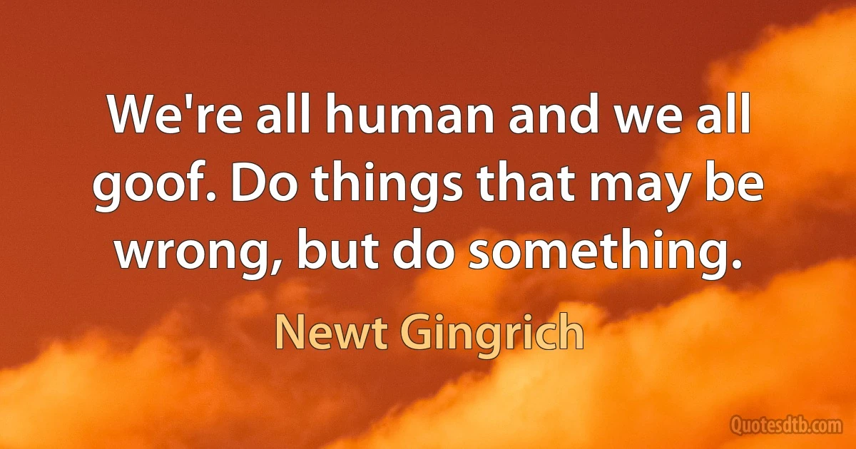 We're all human and we all goof. Do things that may be wrong, but do something. (Newt Gingrich)