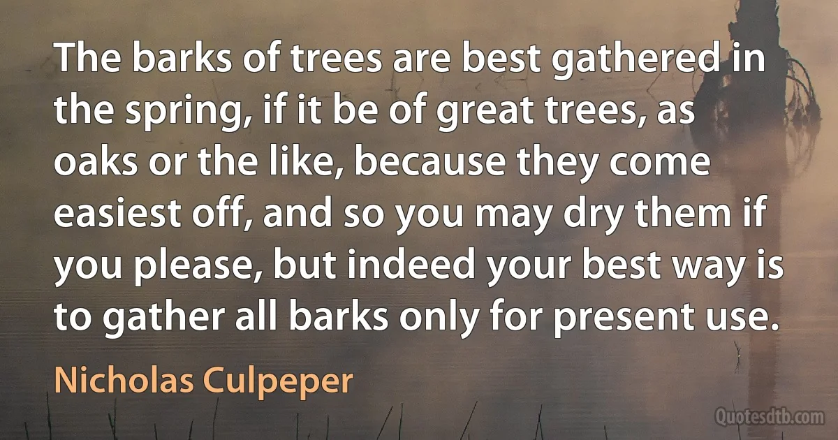 The barks of trees are best gathered in the spring, if it be of great trees, as oaks or the like, because they come easiest off, and so you may dry them if you please, but indeed your best way is to gather all barks only for present use. (Nicholas Culpeper)