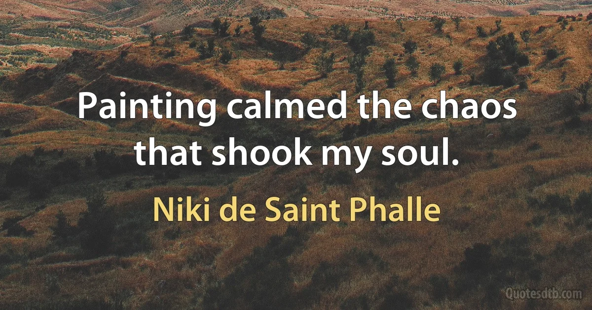 Painting calmed the chaos that shook my soul. (Niki de Saint Phalle)