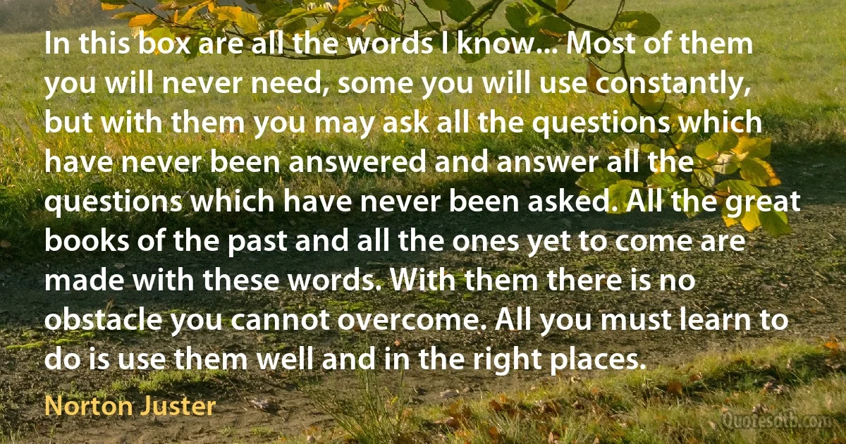 In this box are all the words I know... Most of them you will never need, some you will use constantly, but with them you may ask all the questions which have never been answered and answer all the questions which have never been asked. All the great books of the past and all the ones yet to come are made with these words. With them there is no obstacle you cannot overcome. All you must learn to do is use them well and in the right places. (Norton Juster)