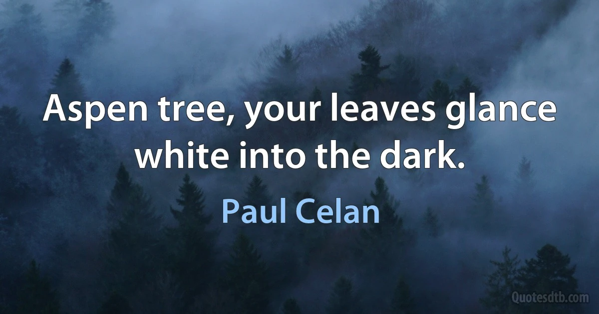 Aspen tree, your leaves glance white into the dark. (Paul Celan)