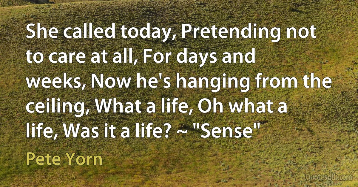 She called today, Pretending not to care at all, For days and weeks, Now he's hanging from the ceiling, What a life, Oh what a life, Was it a life? ~ "Sense" (Pete Yorn)