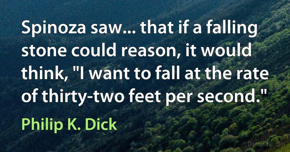 Spinoza saw... that if a falling stone could reason, it would think, "I want to fall at the rate of thirty-two feet per second." (Philip K. Dick)