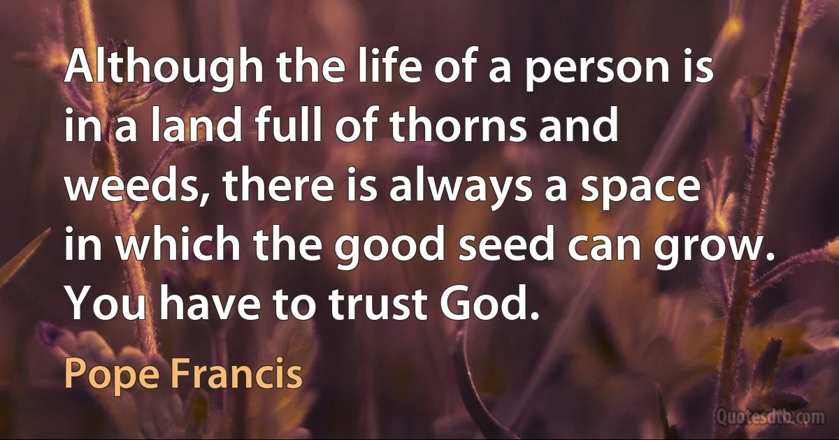 Although the life of a person is in a land full of thorns and weeds, there is always a space in which the good seed can grow. You have to trust God. (Pope Francis)