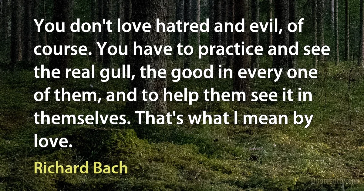 You don't love hatred and evil, of course. You have to practice and see the real gull, the good in every one of them, and to help them see it in themselves. That's what I mean by love. (Richard Bach)