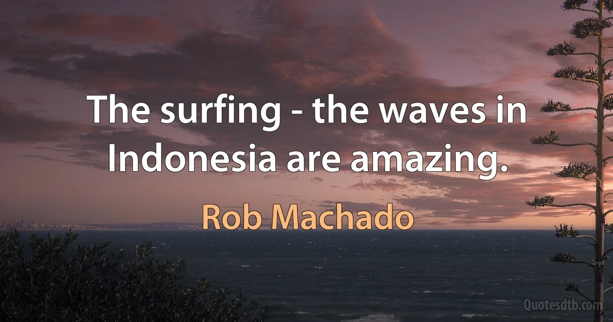 The surfing - the waves in Indonesia are amazing. (Rob Machado)