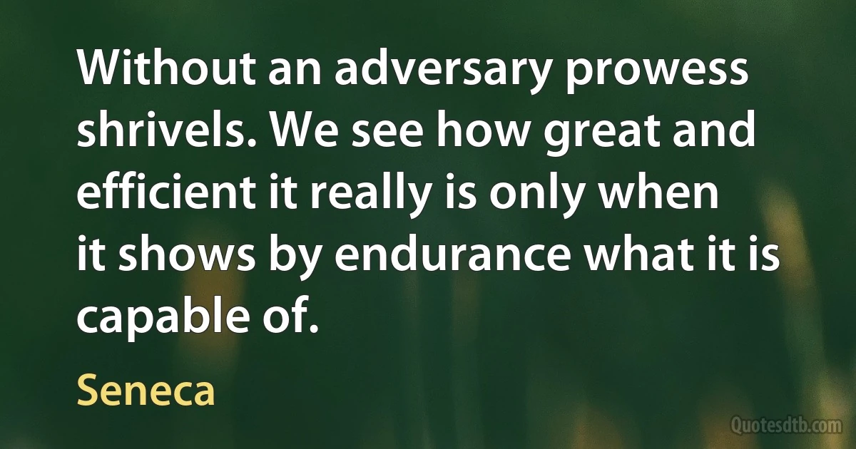 Without an adversary prowess shrivels. We see how great and efficient it really is only when it shows by endurance what it is capable of. (Seneca)