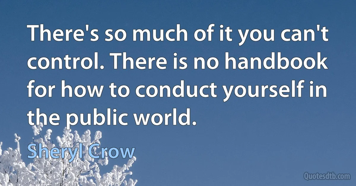 There's so much of it you can't control. There is no handbook for how to conduct yourself in the public world. (Sheryl Crow)