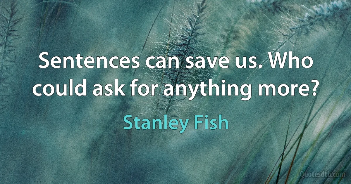 Sentences can save us. Who could ask for anything more? (Stanley Fish)