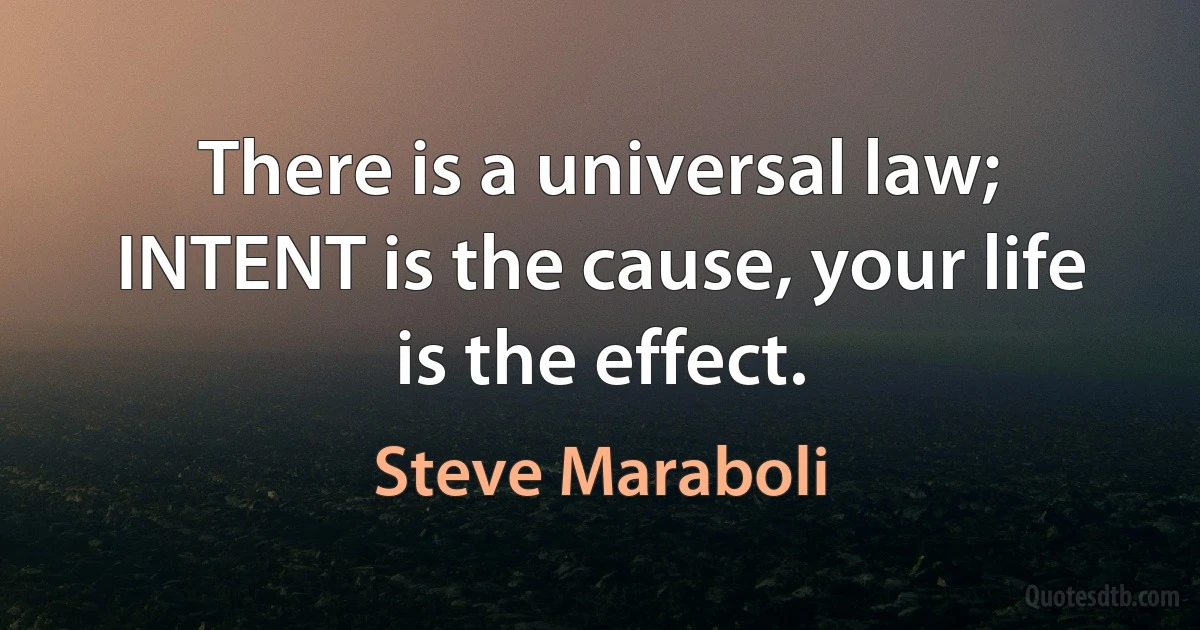 There is a universal law; INTENT is the cause, your life is the effect. (Steve Maraboli)