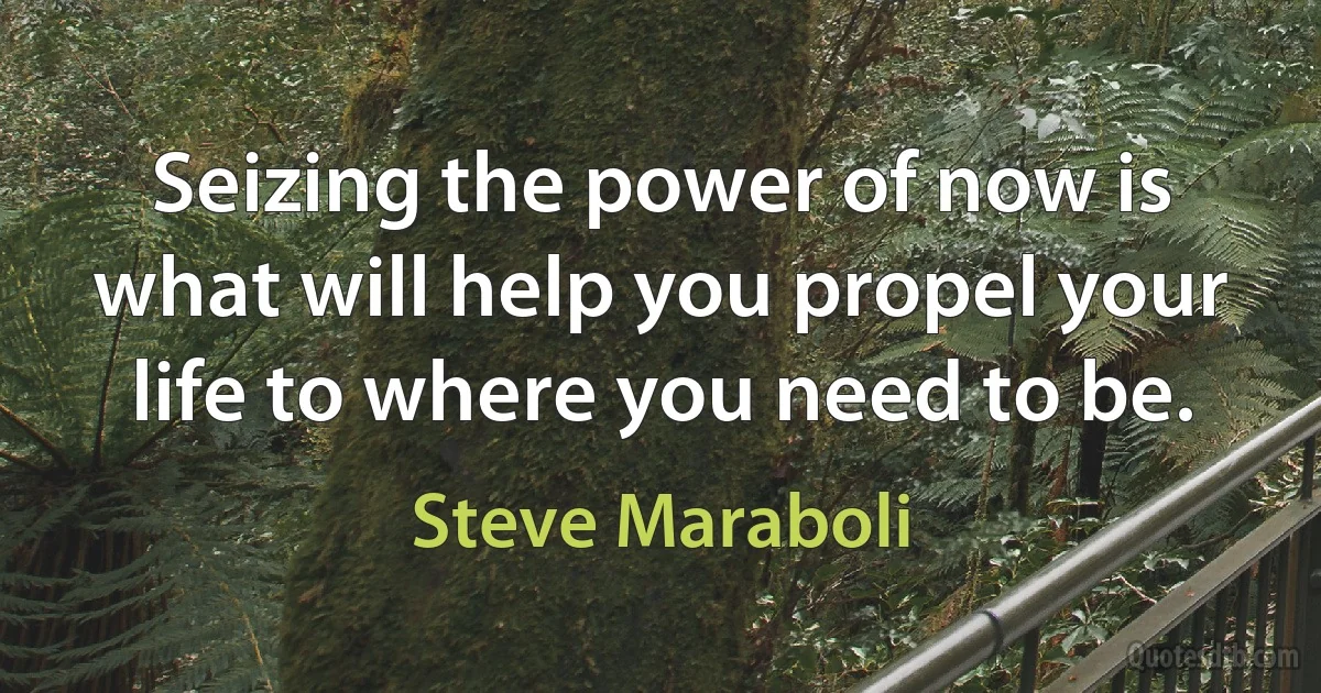 Seizing the power of now is what will help you propel your life to where you need to be. (Steve Maraboli)