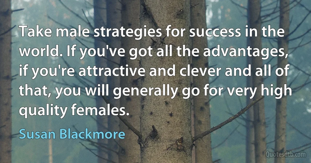 Take male strategies for success in the world. If you've got all the advantages, if you're attractive and clever and all of that, you will generally go for very high quality females. (Susan Blackmore)