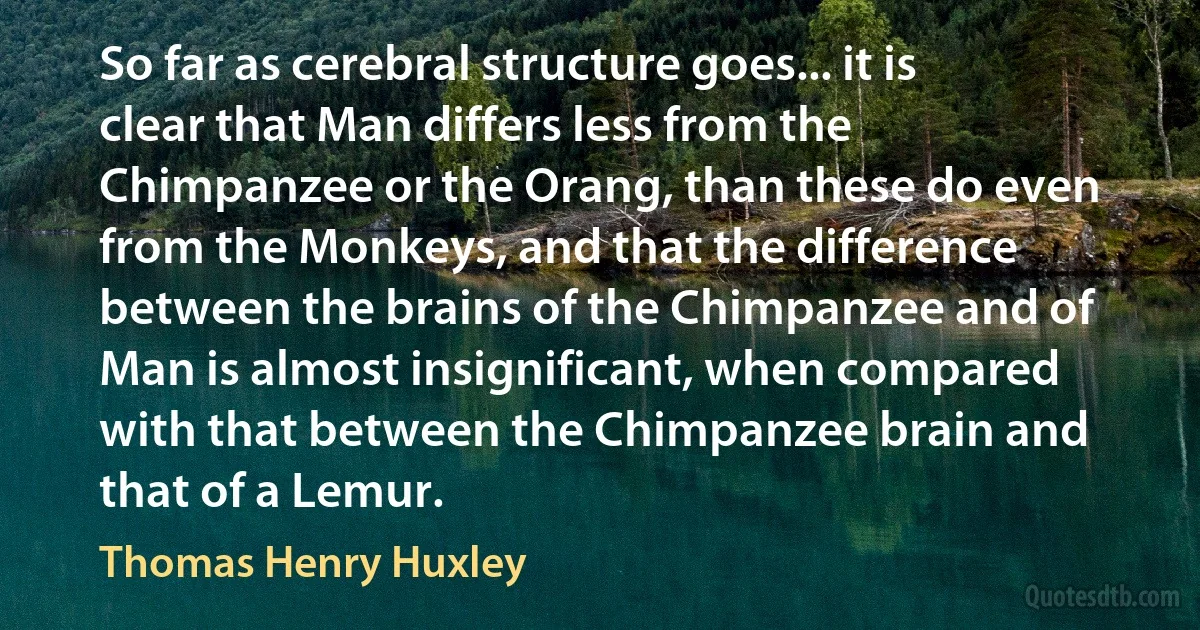 So far as cerebral structure goes... it is clear that Man differs less from the Chimpanzee or the Orang, than these do even from the Monkeys, and that the difference between the brains of the Chimpanzee and of Man is almost insignificant, when compared with that between the Chimpanzee brain and that of a Lemur. (Thomas Henry Huxley)