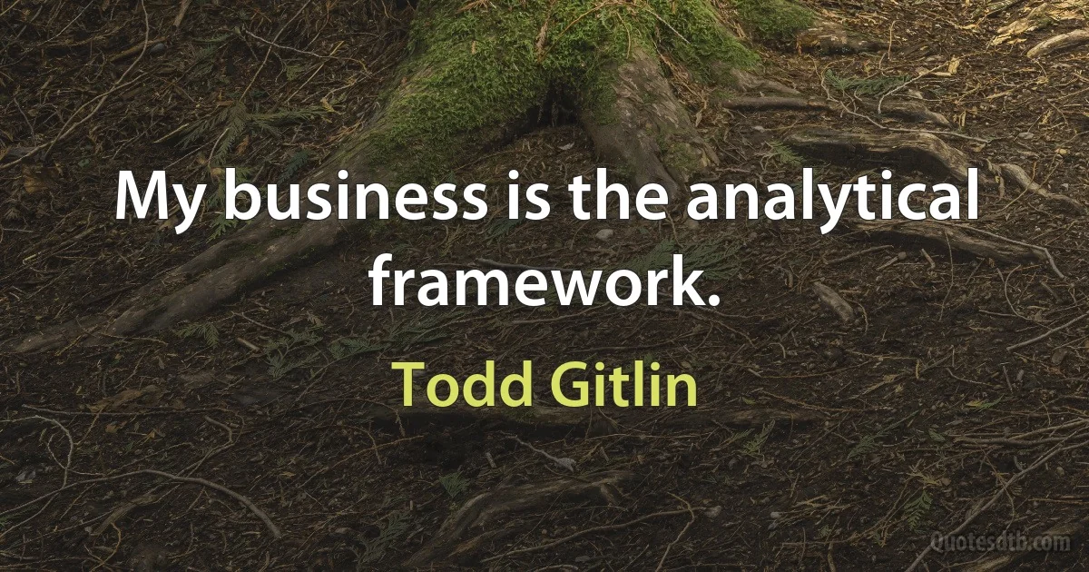 My business is the analytical framework. (Todd Gitlin)