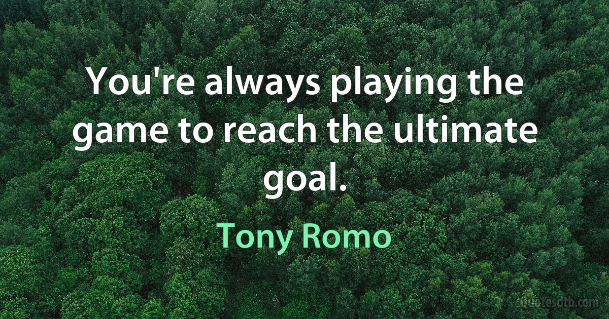 You're always playing the game to reach the ultimate goal. (Tony Romo)