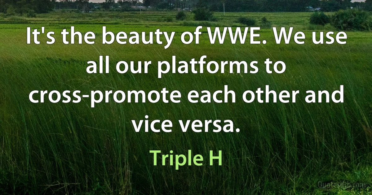 It's the beauty of WWE. We use all our platforms to cross-promote each other and vice versa. (Triple H)