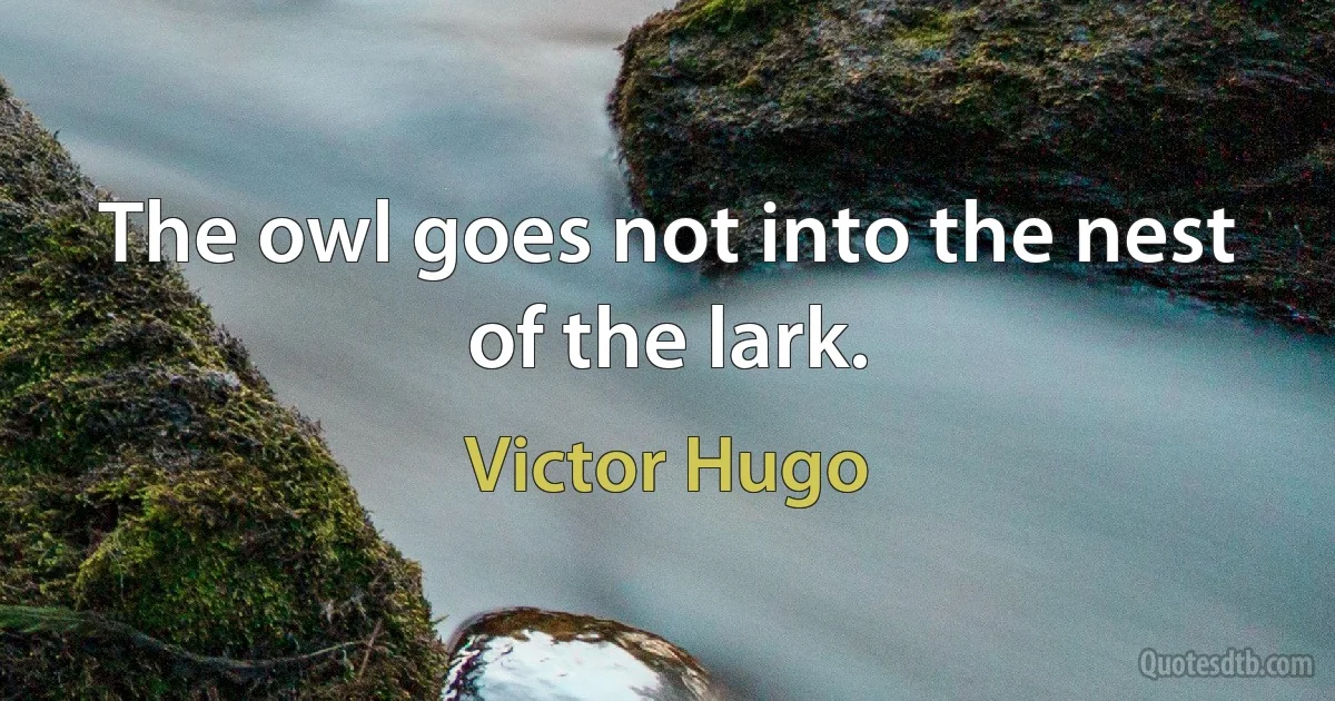 The owl goes not into the nest of the lark. (Victor Hugo)