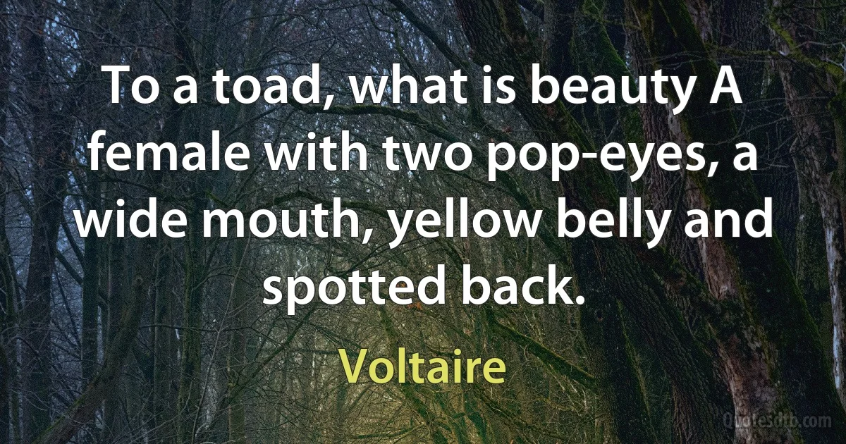 To a toad, what is beauty A female with two pop-eyes, a wide mouth, yellow belly and spotted back. (Voltaire)