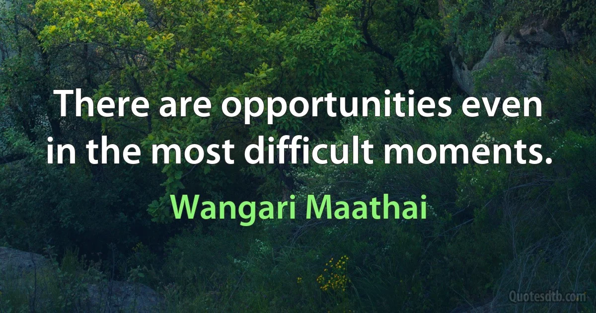 There are opportunities even in the most difficult moments. (Wangari Maathai)