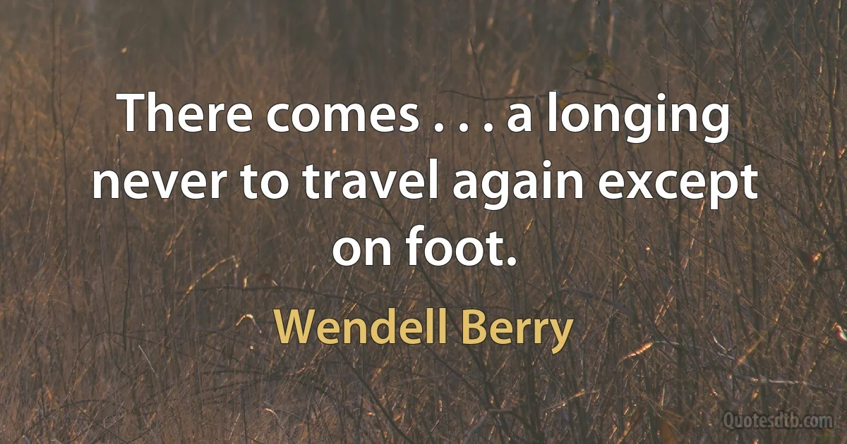 There comes . . . a longing never to travel again except on foot. (Wendell Berry)