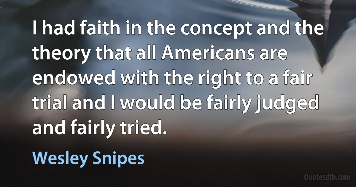 I had faith in the concept and the theory that all Americans are endowed with the right to a fair trial and I would be fairly judged and fairly tried. (Wesley Snipes)