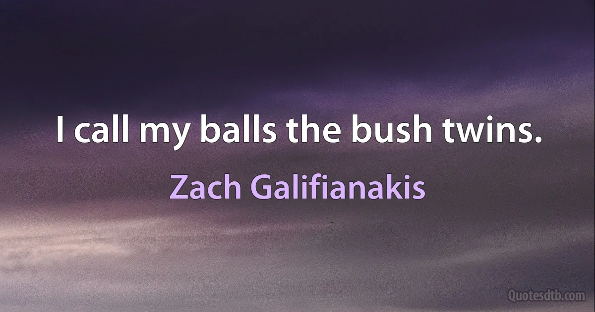 I call my balls the bush twins. (Zach Galifianakis)