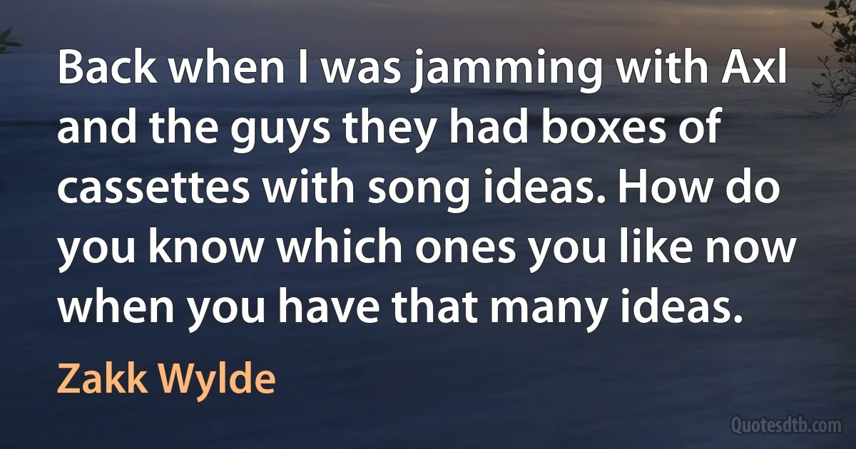 Back when I was jamming with Axl and the guys they had boxes of cassettes with song ideas. How do you know which ones you like now when you have that many ideas. (Zakk Wylde)