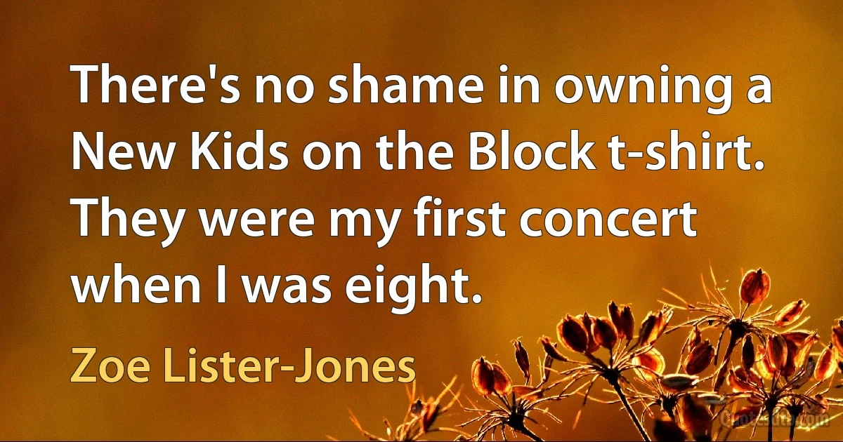 There's no shame in owning a New Kids on the Block t-shirt. They were my first concert when I was eight. (Zoe Lister-Jones)