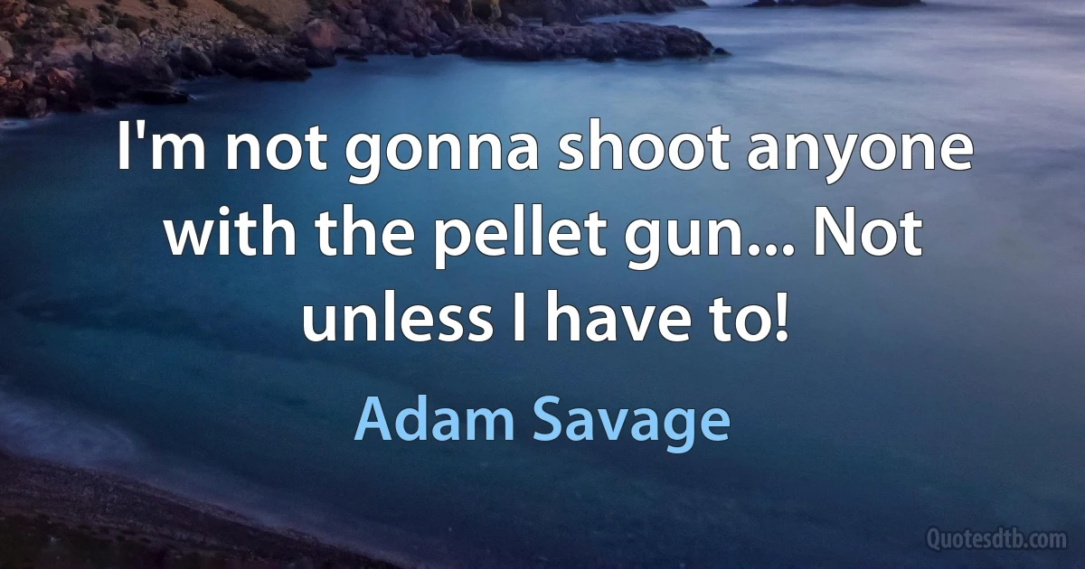 I'm not gonna shoot anyone with the pellet gun... Not unless I have to! (Adam Savage)