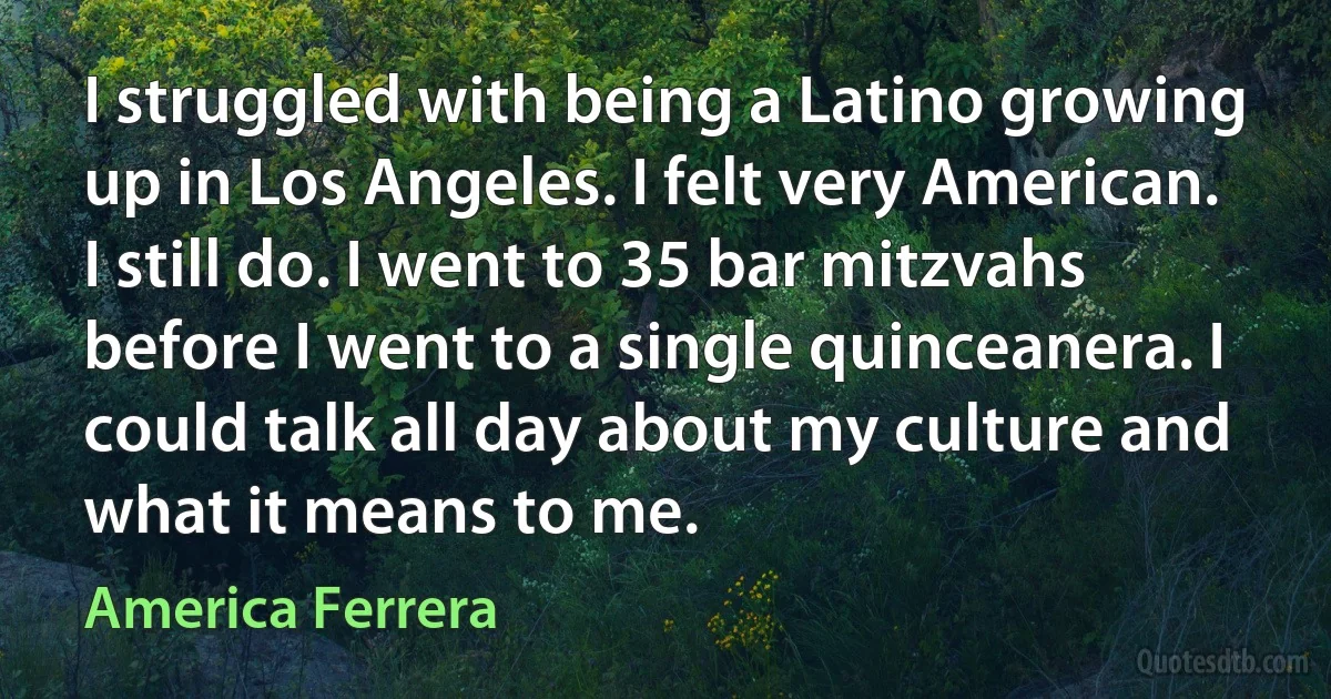 I struggled with being a Latino growing up in Los Angeles. I felt very American. I still do. I went to 35 bar mitzvahs before I went to a single quinceanera. I could talk all day about my culture and what it means to me. (America Ferrera)