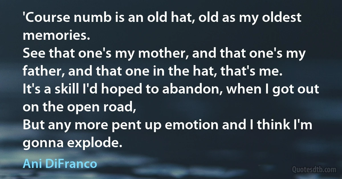 'Course numb is an old hat, old as my oldest memories.
See that one's my mother, and that one's my father, and that one in the hat, that's me.
It's a skill I'd hoped to abandon, when I got out on the open road,
But any more pent up emotion and I think I'm gonna explode. (Ani DiFranco)